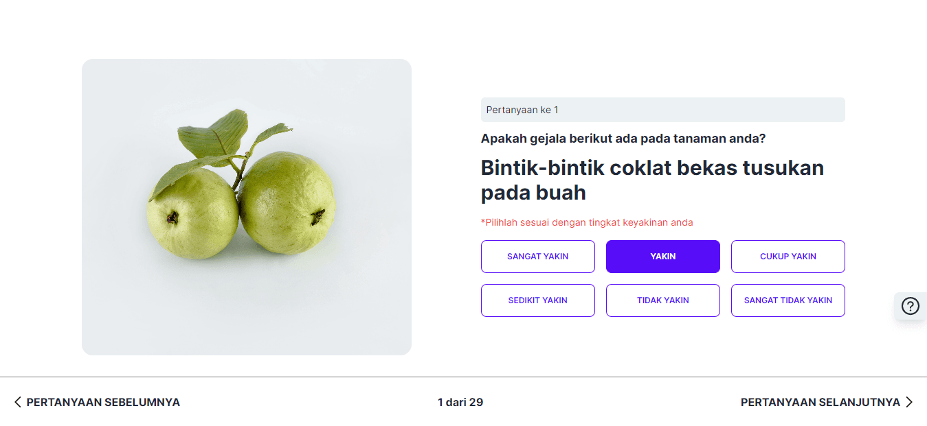 Gambar Pertanyaan ke 1 dengan Jawaban Yakin